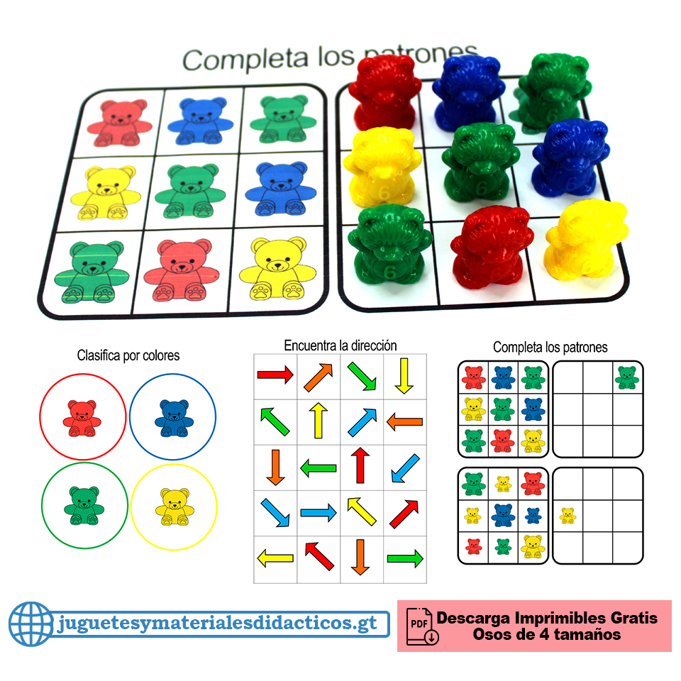 osos de clasificacion